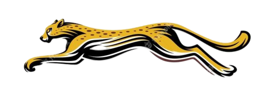 Cheetah Logistics